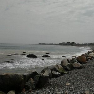 Meet your Posher, Gennaro